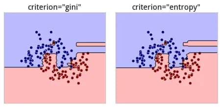 criterion model